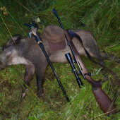 Júlový lanštiak