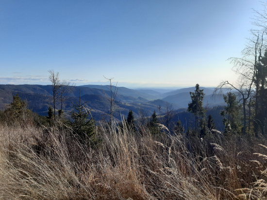 Na hranici revíru. MP