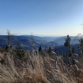 Na hranici revíru. MP