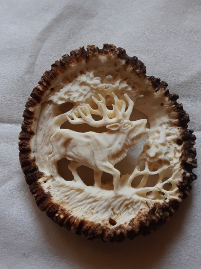 Po prečítaní Komarkovej knihy prišla táto inšpirácia