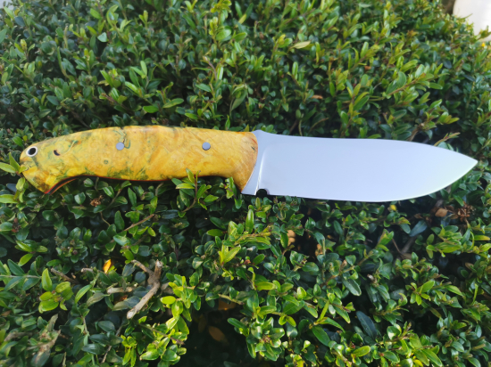 Kanárik - M390 a stabilizovany Javor