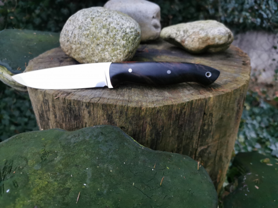 Elmax a stabilizovana Limba