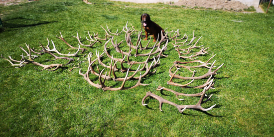 Sezóna 2020 ukončená...