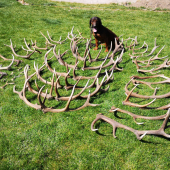 Sezóna 2020 ukončená...