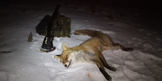 A opäť šťastie..