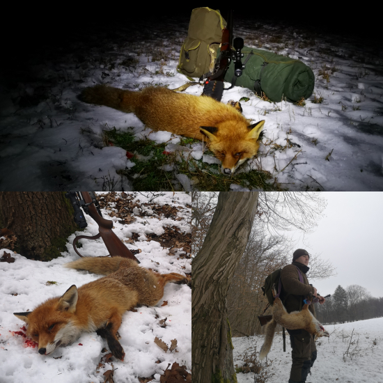 Večer kmotor, ráno kmotra...