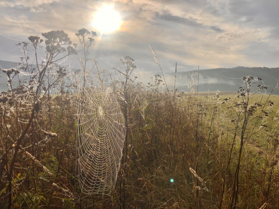 Jeseň - pani čarovná