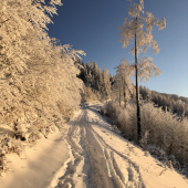 Podvečer na zvážnici