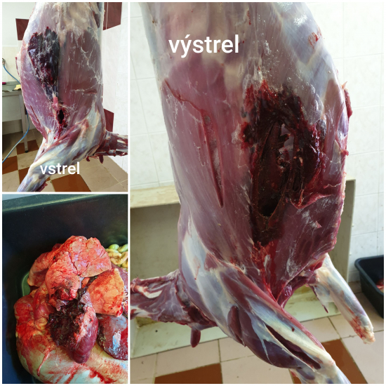 30-06 Winchester Ballistic silvertip