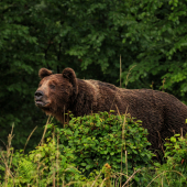 So zatajeným dychom
