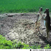 Z letného šatníku