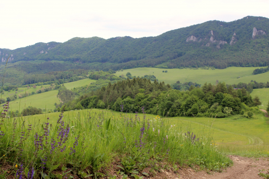 nádherná krajinka