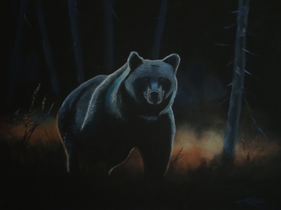 Večerné stretnutie