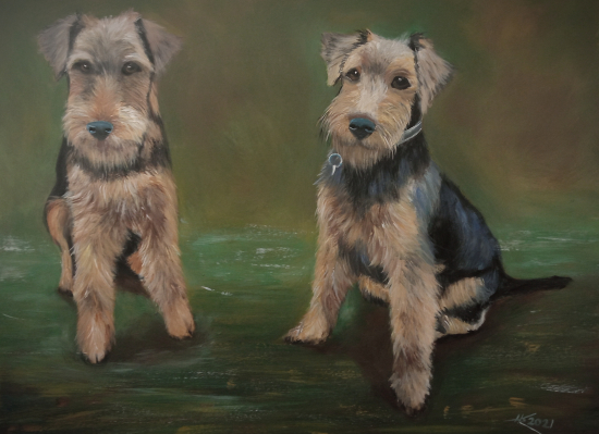 Portrét welschterriérov