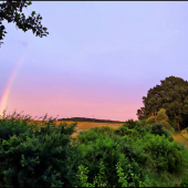 podvečerná dúha ...