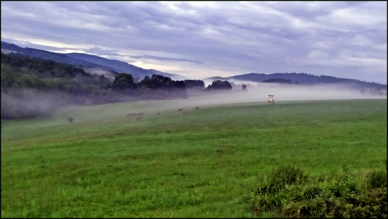 podvečerný opar s vysokou ...