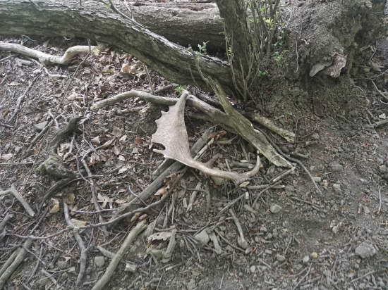 presne tam kde mal byt