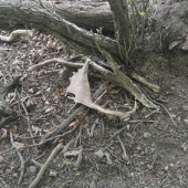 presne tam kde mal byt