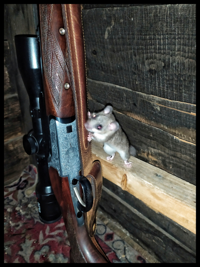 Hmmm..kožený remeň, mňam