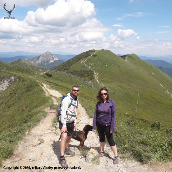 Hrebeňovka Malá Fatra