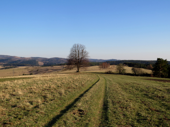 Levočské pohorie