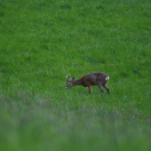 Už takmer za tmy...