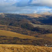 Levočské bez snehu...