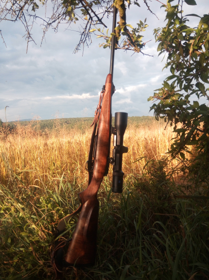 Heym čaká na diviaka