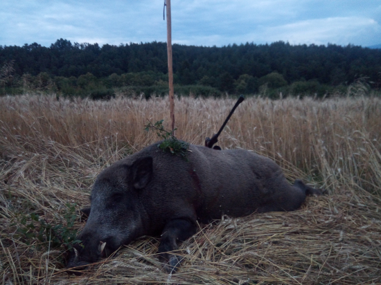 Keď rytier horu opúšťa..