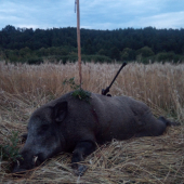 Keď rytier horu opúšťa..