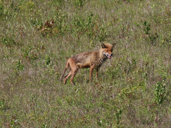 Smutný to pohľad...