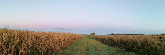 Rovina kam oko dovidí....