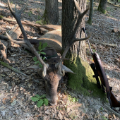 Keď to nečakáš, vtedy to príde.