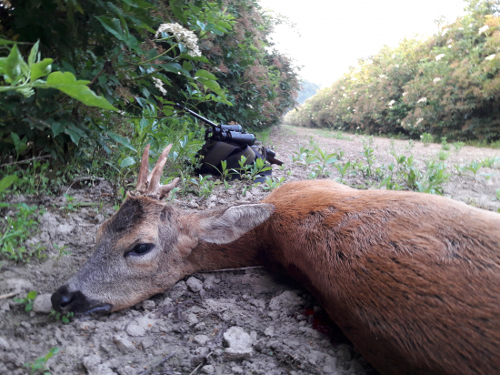 Ponožkové šťastie