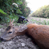 Ponožkové šťastie