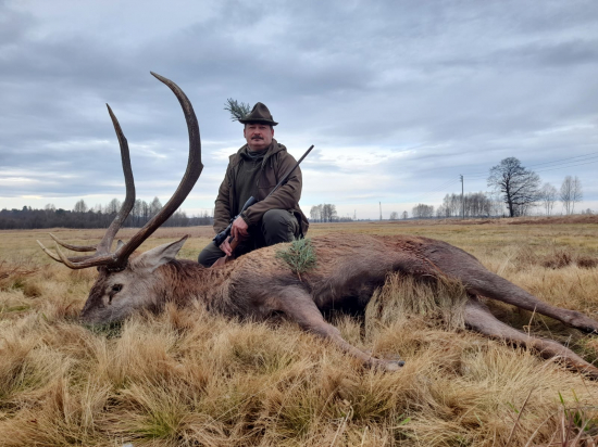 Koleguv Životní Jelen