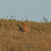 aké pekné klasy ....