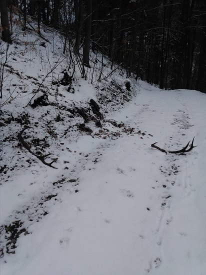 Jedno pekné zimné ráno.