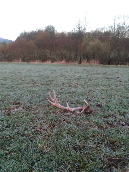 Prvý lúčny tejto sezony