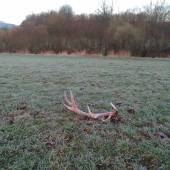 Prvý lúčny tejto sezony