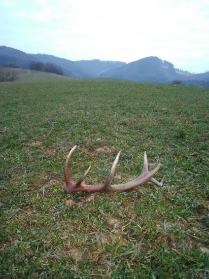 Do pári k včerajšému id 362197