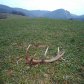 Do pári k včerajšému id 362197