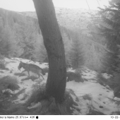 zvyšok sa nenecháva len tak