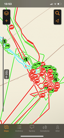 práca lajok s čriedou diviakou na spoločnej