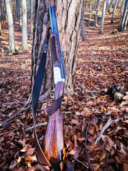 Moje husličky do pohonu