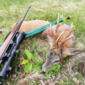 Srnec neočakávaný a dopriaty