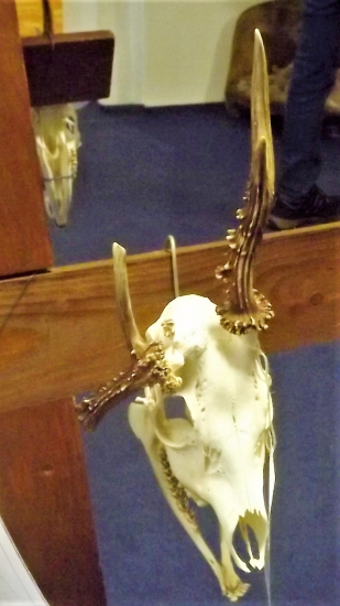 Výstava trofejí Kelč