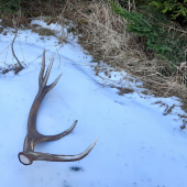 Na prechadzke štastie