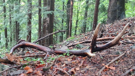 Jeseň lepšia ako jar