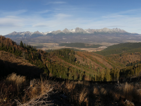 Pohľad na Vysoké Tatry